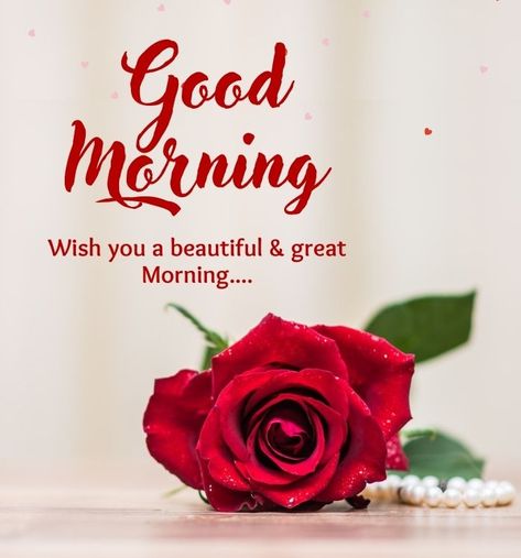 Good Evening Photos, Inspirational Good Morning Quotes, Good Morning Rose Images, Best Feeling In The World, Good Morning Massage, I Am Yours, Roses Beautiful, Good Morning Flowers Rose, Good Morning Coffee Images