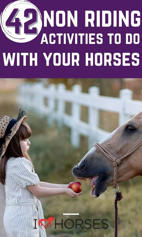 Check out this list of non-riding activities to do with your horse for those times when riding isn't possible! Fun ideas for training & more! Excellent horse care hacks, riding tips, and more to explore for times when you can't ride! Fun Stuff To Do With Your Horse, Things To Do With Your Horse When You Cant Ride, Fun Things To Do With Your Horse, Horse Camp Ideas, Horse Camp Activities, Equine Therapy Activities, Horse Riding Games, Horse Tricks, Therapeutic Horseback Riding