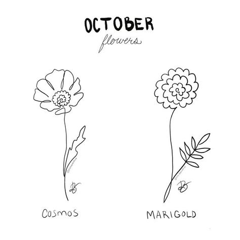 One Line Cosmos Flower, Single Line Marigold Tattoo, Marigold Line Tattoo, October Tattoo Ideas Birth Month, October Birth Tattoo Ideas, October Flowers Tattoo, Cosmos Flower Tattoo October, October Birthday Tattoo, October Flower Tattoo Birth Month