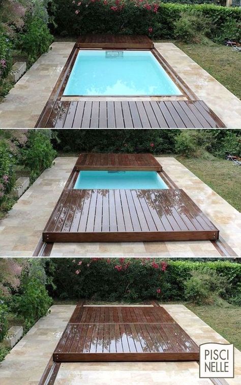 Small Swimming Pools, Small Pool Design, Dogs Small, Small Pools, Swimming Pools Backyard, Small Pool, Small Backyard Pools, Design Exterior, Swimming Pool Designs