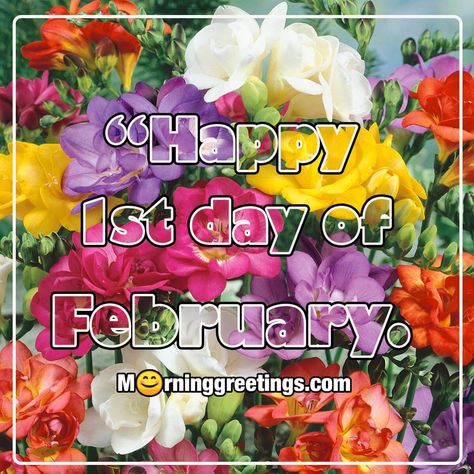 40 Happy February Morning Quotes, Wishes Images - Morning Greetings – Morning Quotes And Wishes Images 1st February Quotes, Happy February 1st, Hello February Quotes, February Images, Welcome February, February Quotes, 1st February, Hello February, Love Month