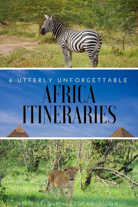 6 Utterly Unforgettable Africa Itineraries {Big World Small Pockets} Travelling Africa, African Destinations, Trip Necessities, Africa Itinerary, Safari Trip, Africa Travel Guide, Tanzania Travel, Dream Trips, Armchair Travel