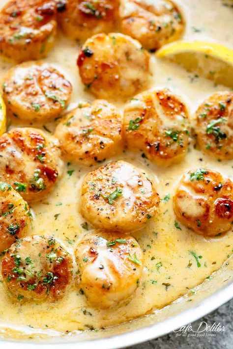 Creamy Scallops And Pasta, Sea Scallops And Pasta, Scallop Sauce Recipes, Lobster And Scallops Recipes, Scallop Dinner Ideas, Baked Scallop Recipes, Sea Scallop Recipes, Creamy Scallops, Sauce For Scallops