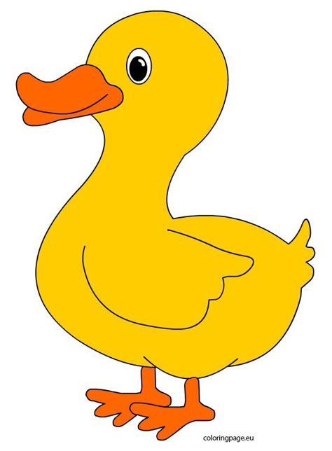 Duck Images, Duck Printable, Duck Template, Duck Clipart, Cute Duck Cartoon, Classroom Ceiling Decorations, Duck Drawing, Duck Cartoon, Duck Pictures