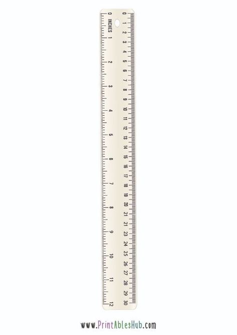 THis is a set of 3 printables templates for 12 inch ruler. One is blank ruler template, another one is with numbers and fractions and another one is complete colored ruler to print in pdf form. Download it directly from the website #printablerulertemplate #12inchruler #free12inchrulertemplate #printablerulertemplates #printableshub Printable Ruler, Inch Ruler, School Printables, Do You Know What, Template Printable, Ruler, Free Printable, Free Printables