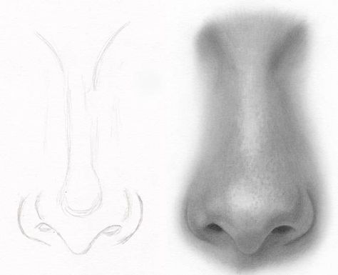 Not as easy as it looks but we can work on that 😜 Realistic Nose, Beautiful Pencil Drawings, Pencil Drawing Tutorials, Realistic Pencil Drawings, Nose Drawing, Drawing Course, 얼굴 그리기, Sketchbook Pages, Pencil Art Drawings