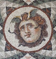 Detail of the Head of Medusa Mosaic from Antioch in the Princeton University Art Museum, August 2009 Rome Painting, Ancient Mosaic, Head Of Medusa, Rome Aesthetic, Ancient Roman Art, Rome Fashion, Rome Art, Colosseum Rome, Roman Mosaic