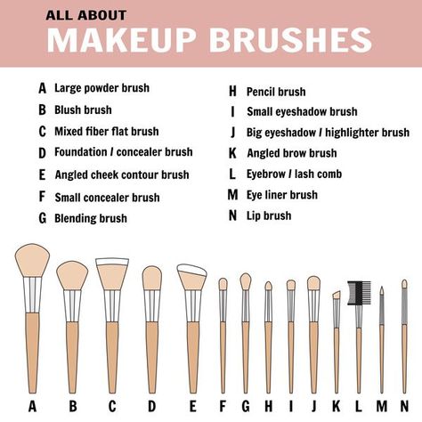 best makeup brushes to Blend Contour Makeup Contouring Makeup Products, How To Blend Contouring, Blend Contour, Best Contouring Products, Makeup Charts, Contouring Makeup, Cheek Contour, How To Apply Blush, Best Makeup Brushes