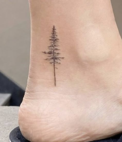 Ankle Tree Tattoos For Women, Snowdonia Tattoo, Deciduous Tree Tattoo, Tiny Antler Tattoo, Delicate Pine Tree Tattoo, Summer Winter Tattoo, Evergreen Tattoo Meaning, Pine Tree Ankle Tattoo, Sitka Spruce Tattoo