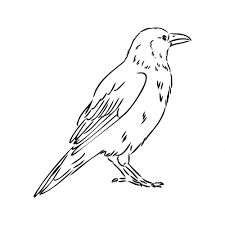 Simple Black Bird Tattoo, Crow Line Tattoo, Raven Tattoo Fine Line, Crow Outline Tattoo, Minimalist Crow Tattoo, Fine Line Raven Tattoo, Simple Crow Tattoo, Fine Line Crow Tattoo, Dainty Crow Tattoo