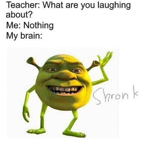 Memes #3 {completed} ✔︎ | Shrek memes, Funny disney memes, Funny relatable memes Shrek Memes Funny, About Your Teacher, Shrek Funny, Shrek Memes, Bored Funny, Funny Disney Memes, Mike Wazowski, Parenting Memes, School Memes