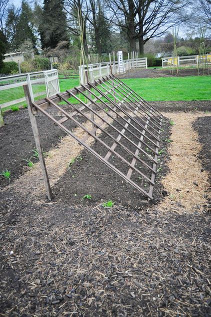 Trellis laid on an angle for climbing plants. This trellis is a good solution for heavier climbers such as squash and watermelon because of its thickness and strength of the wood panel. Once the vines start climbing the trellis, they provide shade for lettuces underneath. Plant Lettuce, Vegetable Garden Boxes, Plantarea Legumelor, Cucumber Trellis, Diy Garden Trellis, Vertical Vegetable Garden, Edible Gardening, Garden Vines, Longwood Gardens