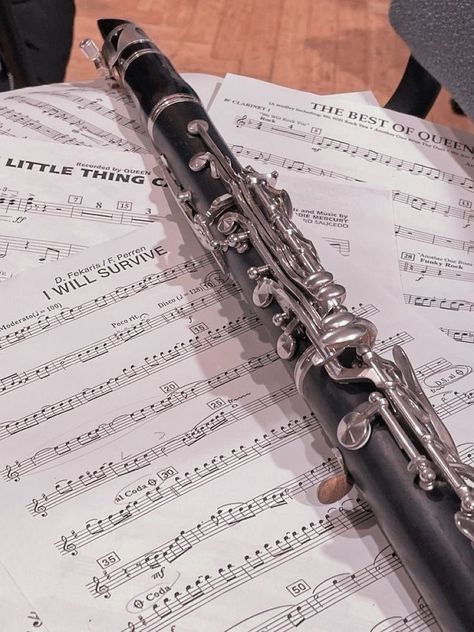 Band Instruments Aesthetic, Playing Instrument Aesthetic, Clarinet Pictures, Clarinet Photography, Clarinet Aesthetic, Instrument Aesthetic, The Sky Is Everywhere, Clarinet Music, Clarinets