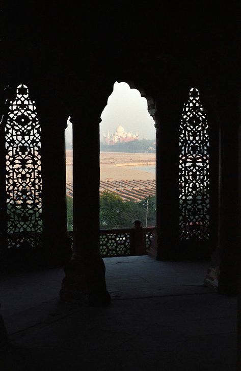 The Taj Mahal from the Red Fort, Agra, India | View of the T… | Flickr Agra Red Fort, Agra Aesthetic, Red Fort Agra, Indian Fort, Agra Fort, Red Fort, The Taj Mahal, Agra India, Scenery Nature