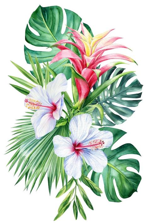 Jungle flowers and palm leaves on isolated white background, watercolor botanical painting. Colored plants stock images Nature Drawing Ideas, Jungle Drawing, Jungle Flowers, Tropical Art Print, Botanical Floral Prints, Jungle Art, Plant Tattoo, Background Watercolor, Watercolor Projects