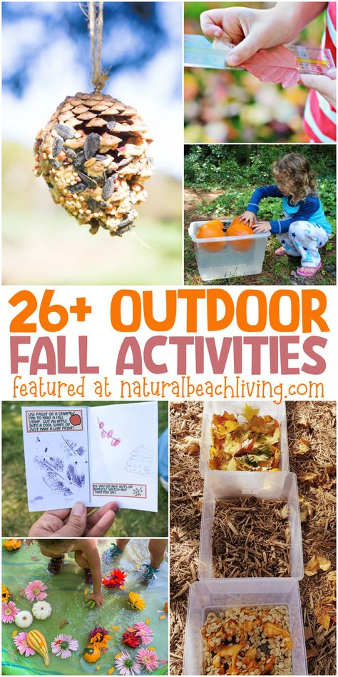 Fall Garden Preschool Activities, Kids Fall Activities Outdoor, Fall Outdoor Activities For Preschool, Autumn Outdoor Activities For Kids, Fall Activities For Kids Outdoor, Fall Nature Activities For Kids, Outdoor Fall Activities For Toddlers, Fall Outdoor Activities For Kids, Outdoor Fall Activities For Kids