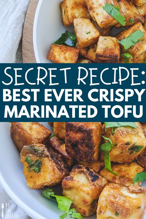 The best crispy marinated tofu recipe for use in Asian cooking like stir fries and healthy curries. This crispy tofu is so easy to make and with minimal ingredients, and is a staple you can come back to time and time again. #veganrecipes #tofurecipes Crispy Tofu Marinade, Crispy Tofu Recipes, Breaded Tofu, Tofu Marinade, Cooking Tofu, Marinated Tofu, Tofu Recipe, Crispy Tofu, Baked Tofu