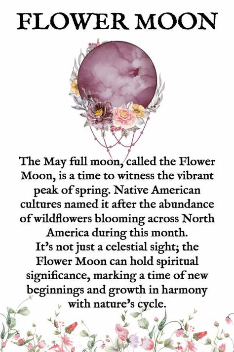 The Flower Moon will be at its peak on May 23rd, 2024 and will bring a time of blooming flowers, vibrant energy, and new beginnings. The spiritual significance of the Full Moon of May brings opportunities for growth, renewal, and good fortune.   The Flower Moon of May 2024 holds a special energy due to its alignment with the optimistic fire sign Sagittarius. ♐️    Click the pin to discover 10 rituals to embrace during the Flower Moon to invite good luck and harness its spiritual energy. Full Flower Moon, Yoruba Orishas, May Full Moon, Mother Moon, Beginner Witch, Metaphysical Spirituality, Moon Rituals, Hebrew Alphabet, Moon Cycle