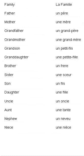 French Words for Family Members. It's not printed very clearly but the word for "sister" is "une soeur." French Language Basics, Useful French Phrases, Learn French Beginner, French Basics, Learn To Speak French, French Alphabet, French Flashcards, Basic French Words, French For Beginners