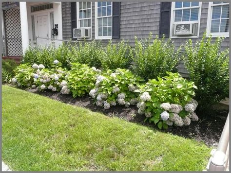 Electric Box Landscaping, Hydrangea Landscaping, Patio Remodel, Gray House, Landscaping Inspiration, Front Yard Design, House Landscaping, Front Landscaping, Garden Design Plans