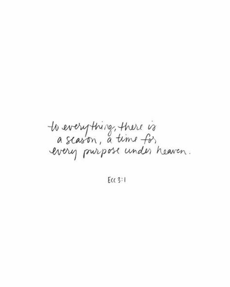 delta-breezes: Andrea Howey | @andrearhowey Woord Van God, Movies Quotes, Ayat Alkitab, Verse Quotes, Bible Verses Quotes, A Quote, The Words, Bible Journaling, Word Of God