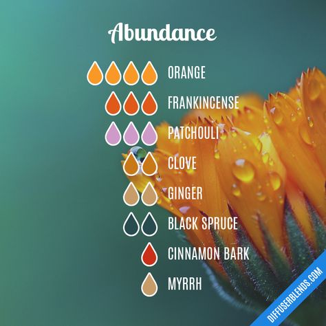 Abundance Diffuser Blend, Cleansing Essential Oils Diffuser Blends, Abundance Oil, Abundance Essential Oil, Essential Oil Perfumes Recipes, Black Spruce, Essential Oil Combinations, Aromatherapy Recipes, Essential Oil Diffuser Blends Recipes