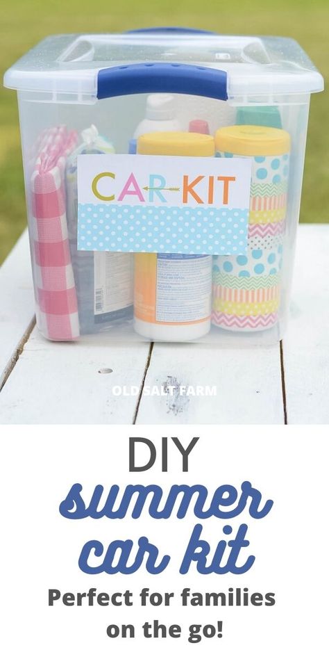 Summer Survival Kit, Car Survival Kits, Babysitting Ideas, Summer Car, Clorox Wipes, Car Emergency Kit, Family Projects, Car Organization, Car Essentials