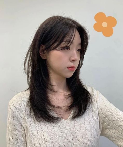 Butterfly Layered Hair Medium, Korea Haircut Medium, Korean Hairstyle For Big Forehead, Light Wolfcut Medium Hair, Wispy Curtain Bangs Asian Hair, Kpop Haircut Female Medium, Japanese Layered Haircut Medium, Middle Bangs Long Hair, Korean Medium Hair Layered