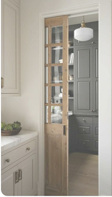 Walk In Pantry Pocket Door, Pocket Door Pantry Kitchen, Pantry Pocket Door Ideas, Pocket Pantry Door, Butlers Pantry Layout, Pocket Doors Pantry, Pantry Double Doors, Walking Pantry, Pantry Pocket Door