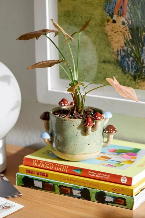 Sprouting Mushroom Planter | Urban Outfitters Mushroom Planter, Mushroom Plant, Tiny Mushroom, Indoor Greenhouse, Uo Home, Mushroom Decor, Ceramics Projects, Ceramic Pot, Ceramic Planters