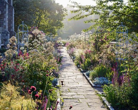 Garden Path Ideas, Stone Garden Paths, Lawn Turf, Tattoo Plant, Narrow Garden, Walkway Design, Path Ideas, Garden Images, Better Homes And Garden