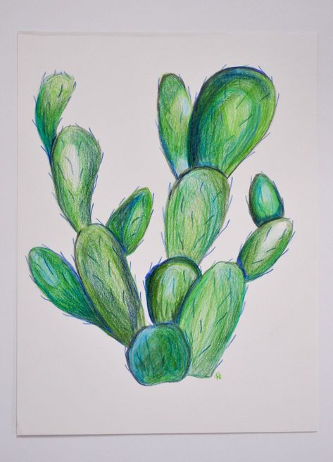 Colored Pencil Drawing of a cactus on vellum surface acid-free paper. Purchase unframed. Colored Pencil Plant Drawing, Cacti Drawing Simple, Pencil Plant, Succulents Drawing, Pencil Cactus, Drawing Rocks, Colored Pencil Drawings, Cactus Drawing, Crayon Drawings