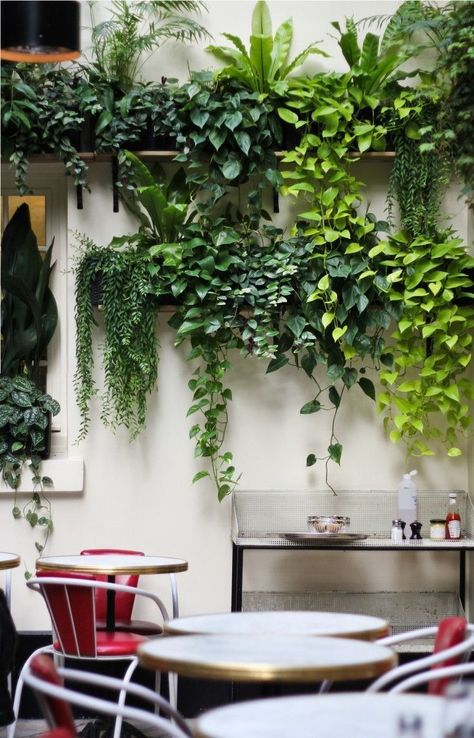 Vertical garden plant wall Hotel Amour Paris ; Gardenista Vertical Garden Plants, Healthy Supper Recipes, Healthy Supper, Protein Breakfast Recipes, Kinds Of Salad, Whole Grain Bread, Evening Meals, Green Trees, Wholesome Food