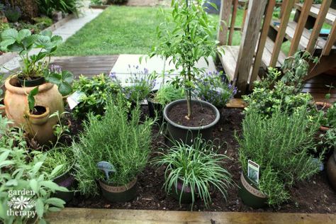 Herb Garden Design, Culinary Garden, Renovation Plan, Garden Renovation, Culinary Kitchen, Small Herb Gardens, Herb Garden In Kitchen, Garden Therapy, Decoration Plante