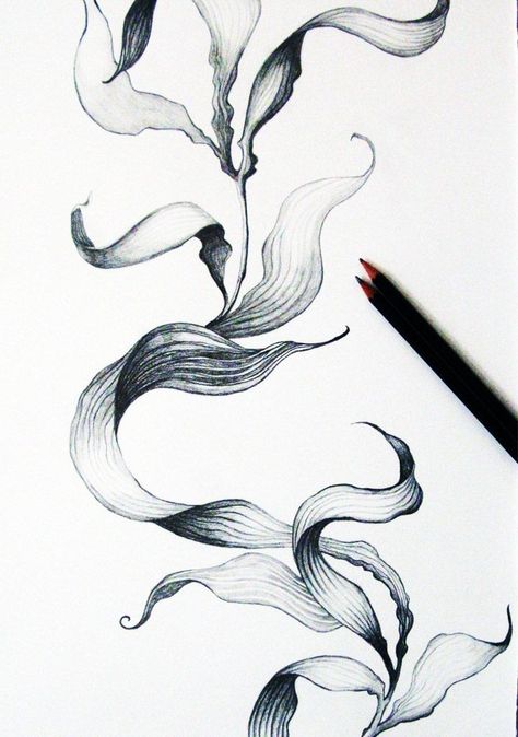 Seaweed Drawing, Underwater Tattoo, Vine Drawing, Sea Tattoo, Ocean Tattoos, Theme Tattoo, Vine Tattoos, Plant Tattoo, Drawing Flowers