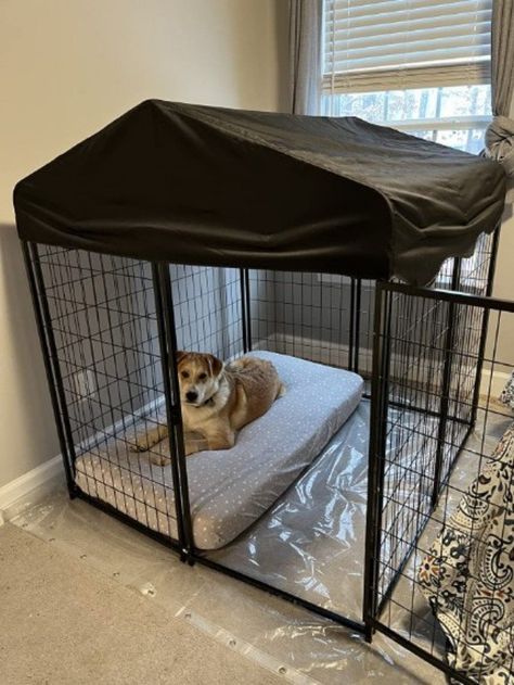 -★【Spacious Interior Space】 The size of this dog kennel is 4ft x 4.2ft x 4.45ft. Our kennel provides ample space for your pets, allowing them to rest in a friendly and safe environment. This large dog cage/dog house is super suitable for the large to small dog to live-★【Easy to Install】 We provide detailed installation instructions and this dog house is designed for easy installation, so you can easily complete the installation in a short time without the help of any other tools. This dog kennel Puppy Cage Ideas Dog Houses, Dog Cage Ideas Outdoor House, Dog Proof Decorating, Outdoor Dog Crate, Diy Extra Large Dog Crate, Big Dog Crate Ideas, Diy Dog Bunk Beds For Large Dogs, Inside Outside Dog Kennel, Dog Proof Room Ideas