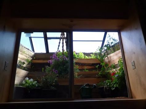 Greenhouse Window Well – Green Houses and Sunrooms Egress Window Greenhouse, Window Well Greenhouse, Window Well Plant Ideas, Window Well Catio, Window Well Garden, Diy Window Well, Egress Window Landscaping, Basement Egress, Basement Window Well