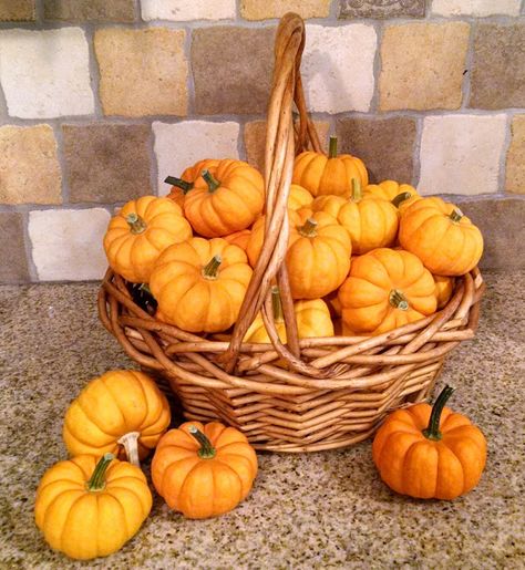 Must Run in the Family: 21 Mini Pumpkin Games Preserving Pumpkins, Pumpkin Games, Valentine's Day Party Games, Easter Games For Kids, Easter Party Games, Fall Games, Easter Games, Halloween Clown, Harvest Party