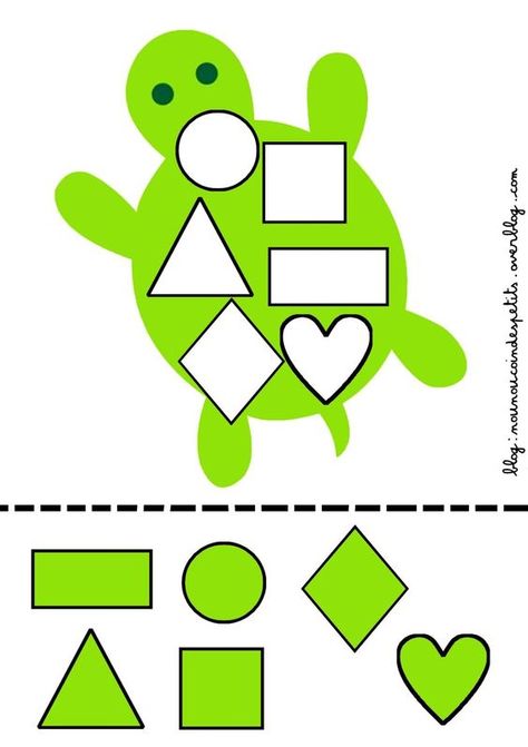 Things To Do With A 2 Year, Turtle Shape, Preschool Activities Printable, Shape Activities Preschool, Toddler Class, Kids Worksheets Preschool, Kindergarden Activities, Animal Shapes, Preschool Activities Toddler