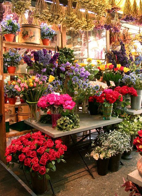 Explore zyn₪p's photos on Flickr. zyn₪p has uploaded 332 photos to Flickr. Amsterdam Flower Market, A Bunch Of Flowers, Different Types Of Flowers, Florist Shop, Floral Shop, Garden Shop, Bunch Of Flowers, Arte Floral, Types Of Flowers