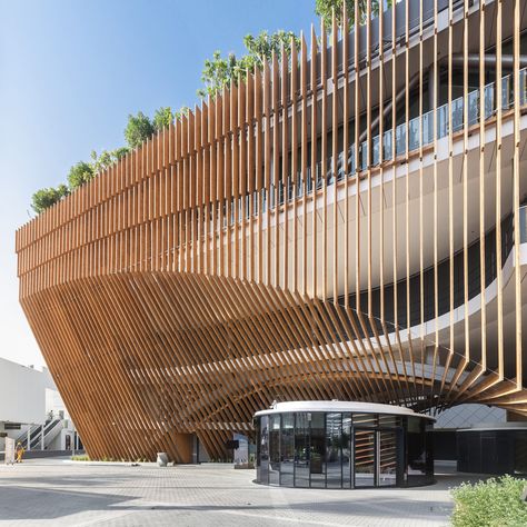 Gallery of The Green Arch Belgian Pavilion Expo 2020 Dubai / Vincent Callebaut Architectures + assar architects - 3 Wood Facade Design, Parametric Facade Design, Architecture Types, Green Entrance, Koshino House, Vincent Callebaut, Green Arch, Expo 2020 Dubai, Mall Facade