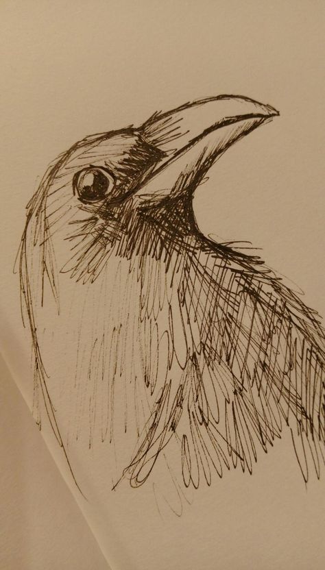 Raven Pen Drawing, Ink Drawings Easy, Scary Bird Drawing, Cute Raven Art, Raven Flying Drawing, Black Pen Sketches Easy, Black Pen Sketches Aesthetic, Crow Drawing Easy, Black Pen Drawing Sketches