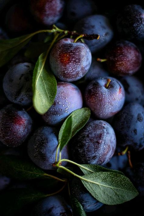 Plums Pictures, Prune Fruit, Plum Fruit, Fruits Photos, Fruit Picture, Fruits Images, Free Fruit, Fruit Wallpaper, Fruit Photography