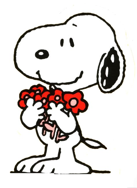 Flowers Humour, Charlie Brown Y Snoopy, Snoopy Drawing, Woodstock Snoopy, Snoopy Cartoon, Snoopy Images, Peanuts Cartoon, Snoopy Wallpaper, Peanuts Characters