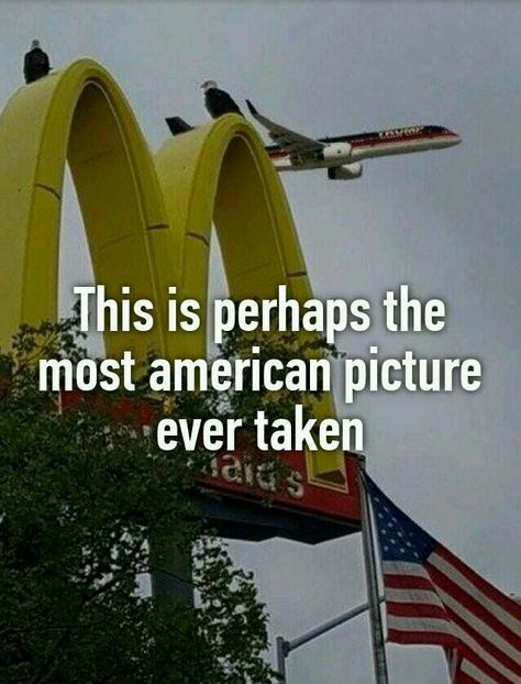 Most American picture ever. Most American Picture Ever, Very Funny Pictures, Hysterically Funny, Laughing So Hard, Really Funny Pictures, Really Funny Memes, Funny Pics, Funny Laugh, Bones Funny