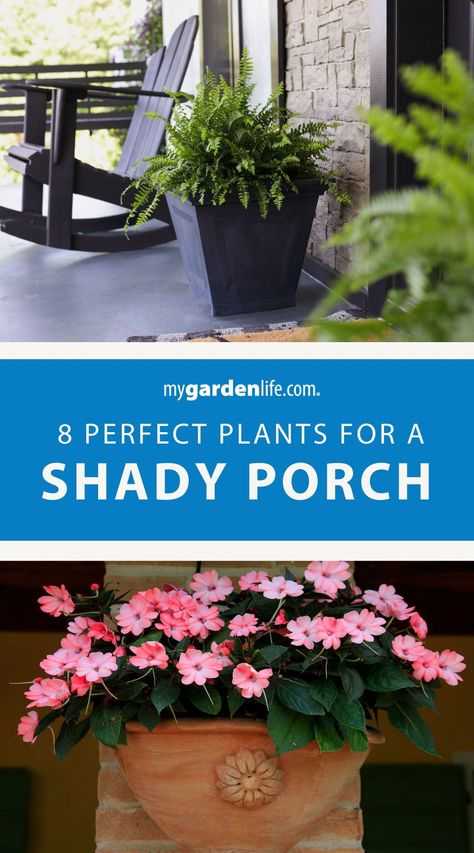 Turn your porch into a shady oasis with these DIY planting ideas! Explore creative shade planters and learn how to design a front porch shade garden that reflects your style. From hanging baskets to decorative pots, discover the prefect plants for a back porch with shade and enhance your outdoor living space. Find more shade planting tips and porch planter ideas at MyGardenLife.com. Shaded Porch Ideas, Front Porch Planters Shade, Shaded Front Porch Ideas, Porch Plants Shade, Shade Pots Front Porches, Shade Planters, Planters For Shade, Shade Containers, Shade Planting