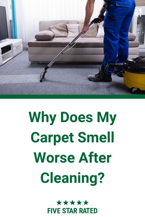 Many homeowners discover their carpets smells worse immediately after cleaning. But what is causing that smell, and more importantly, how you can minimize it? Pet Odor Carpet Cleaner, Musty Carpet Smell How To Remove, Stinky Carpet Remedy, Make Carpet Smell Good, Best Carpet Cleaner For Pet Urine, Carpet Smell Remover, Carpet Odor Remover Diy, Smelly Carpet How To Get Rid Of, How To Get Smell Out Of Carpet