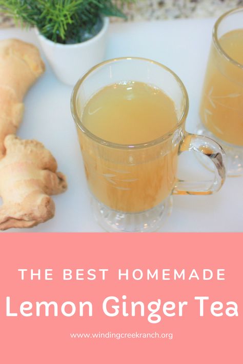 Click here to learn how to make the best homemade lemon ginger tea ever - Bonus - FREE recipe of lemon ginger tea with variations included! This recipe is very quick and easy, but so FULL of flavor.  There are so many different tea recipes out there, but let me persuade you to try this recipe, you won't be disappointed! Ginger has many health benefits, and is very comforting on a cold winter day. Give it a try! Cinnamon Ginger Tea, Ginger Lemon Tea Recipe, Honey Tea Recipe, Ginger Lemon Honey Tea, Homemade Ginger Tea, Garlic Tea, Lemon Ginger Tea, Ginger Tea Benefits, Ginger Tea Recipe