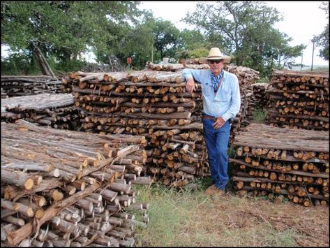 big wooden posts | we have both 1 and 2 cedar stays for your fencing projects Cedar Porch Posts, Cedar Fence Posts, Fence Building, Ranch Fencing, Livestock Shelter, Cedar Posts, Horse Facility, Fencing & Gates, Building A Fence