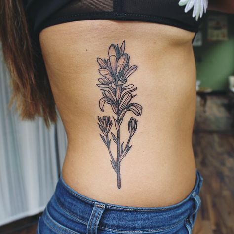 Indian Paintbrush for Uyen. Thank you for making the trip! I can't wait for our next session to make more lovely botanicals. . #botanical… Paintbrush Flower Tattoo, Indian Paintbrush Tattoo Black And White, Indian Paint Brush Tattoo, Fine Line Indian Paintbrush Tattoo, Indian Paintbrush Tattoo, Bluebonnet And Indian Paintbrush Tattoo, Indian Paintbrush Drawing, Indian Paintbrush Embroidery, Paintbrush Tattoo